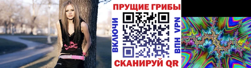 Галлюциногенные грибы прущие грибы  кракен как войти  Первомайск 